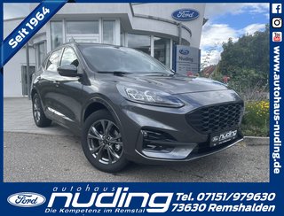 Ford Kuga Gebrauchtwagen Kaufen