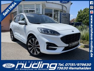 Ford Kuga Gebrauchtwagen Kaufen