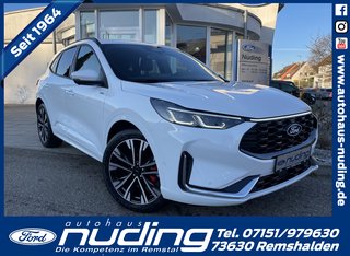 Ford Kuga Vorführfahrzeug Kaufen