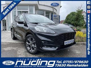 Ford Kuga Gebrauchtwagen Kaufen