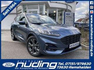 Ford Kuga Gebrauchtwagen Kaufen