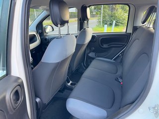 Fiat Panda Easy 1.2*Klima*Allwetter*Tüv+Service NEU* - bilder 3