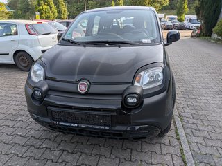 Fiat Panda Gebrauchtwagen Kaufen