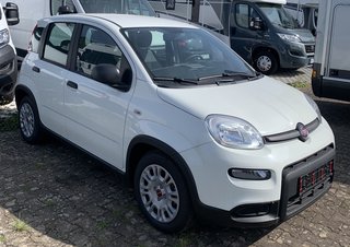 Fiat Panda age.one-day registration Kaufen