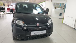 Fiat Panda Gebrauchtwagen Kaufen