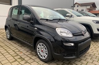 Fiat Panda Gebrauchtwagen Kaufen
