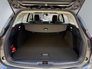 Ford Focus Turnier 1,0 125PS 16*Alu/ACC/Kamera/LED/Navi/Winterp.   ** - bilder 13