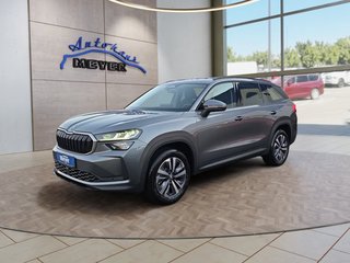 Skoda Kodiaq age.one-day registration Kaufen