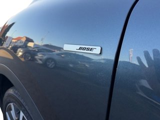 Renault Kadjar 1.7 BLUE dCi Bose Edition 4WD  AHK/LED/Navi/Pano - foto 24