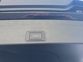 CUPRA Terramar VZ 2,0TSI 265PS 5*J.Gar/AHK/Pano/Matrix   ** - bilder 17