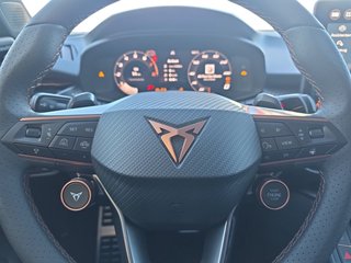 CUPRA Terramar VZ 2,0TSI 265PS 5*J.Gar/AHK/Pano/Matrix   ** - bilder 19
