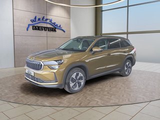 Skoda Kodiaq age.one-day registration Kaufen