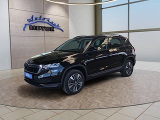 Skoda Karoq age.one-day registration Kaufen