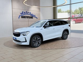 Skoda Kodiaq age.one-day registration Kaufen