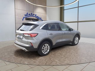 Ford Kuga 1.5 Titanium ST-Line X T-Leder/Pano/ACC/WP/B&O Sound - foto 5