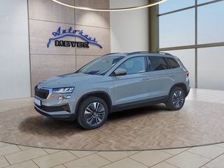 Skoda Karoq age.one-day registration Kaufen