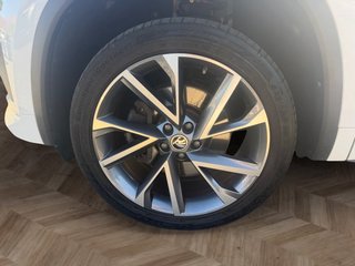 Skoda Kodiaq 2.0TDI Sportline 4x4 AHK/LED/Navi/Pano - bilder 9