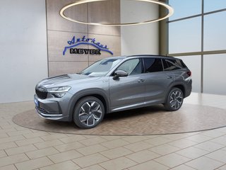 Skoda Kodiaq age.one-day registration Kaufen