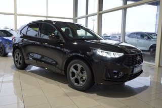 Ford Kuga age.one-day registration Kaufen