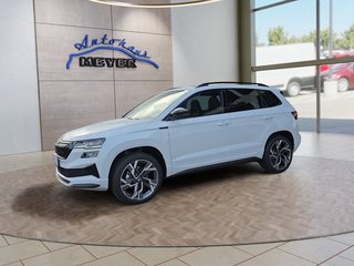 Skoda Karoq age.one-day registration Kaufen