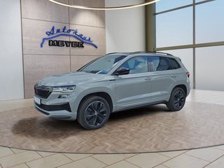 Skoda Karoq age.one-day registration Kaufen