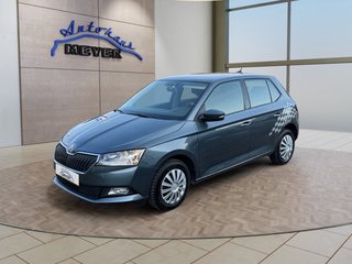 Skoda Fabia Gebrauchtwagen Kaufen