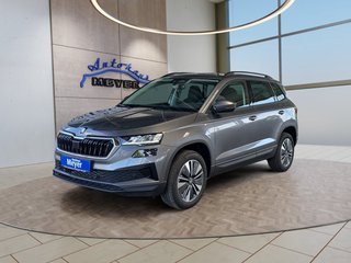 Skoda Karoq age.one-day registration Kaufen