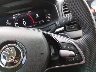 Skoda Karoq 2,0TDI DSG 4x4 Navi/LED/Kamera/ACC/Winterp.  ** - bilder 13
