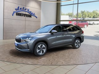 Skoda Kodiaq age.one-day registration Kaufen