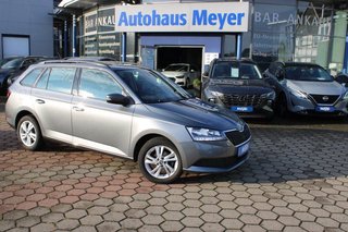 Skoda Fabia Gebrauchtwagen Kaufen