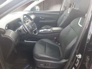 Hyundai TUCSON 1.6 T-GDI Hybrid Leder/Virtuel/ACC/DAB/AHK - bilder 4