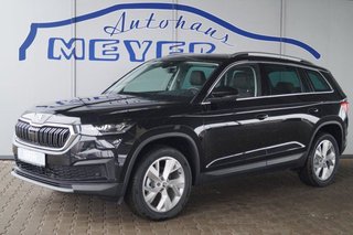 Skoda Kodiaq age.one-day registration Kaufen