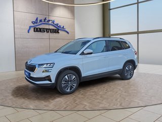 Skoda Karoq age.one-day registration Kaufen
