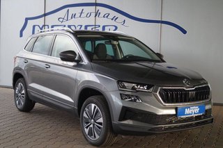 Skoda Karoq age.one-day registration Kaufen