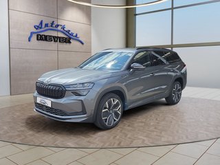 Skoda Kodiaq age.one-day registration Kaufen
