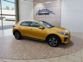 Kia XCeed Gebrauchtwagen Kaufen