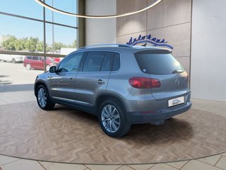 Volkswagen Tiguan 1.4TSI DSG Life AHK/Navi/Pano - bilder 3