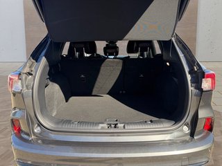 Ford Kuga 1.5 EcoBoost ST-Line X LED/Navi/Winterpaket - foto 11