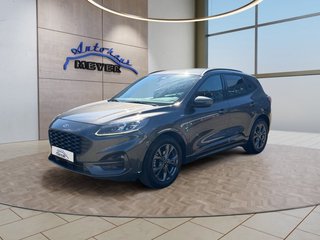 Ford Kuga Gebrauchtwagen Kaufen