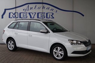 Skoda Fabia Gebrauchtwagen Kaufen