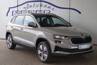 Skoda Karoq age.one-day registration Kaufen