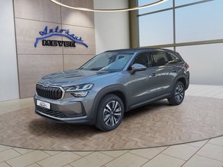 Skoda Kodiaq age.one-day registration Kaufen