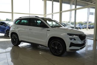 Skoda Karoq age.one-day registration Kaufen