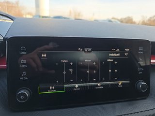 Skoda Fabia Monte Carlo 1,0TSI DSG 5*J.Gar/LED/Winterp/Temp. - bilder 40