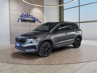 Skoda Karoq age.one-day registration Kaufen
