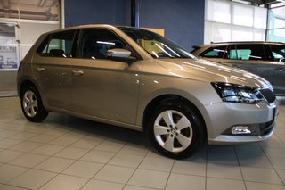 Skoda Fabia Gebrauchtwagen Kaufen