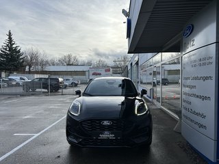 Ford Puma Neuwagen Kaufen