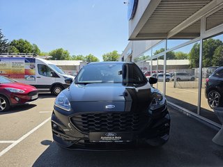 Ford Kuga Gebrauchtwagen Kaufen