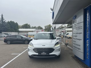 Ford Kuga Gebrauchtwagen Kaufen