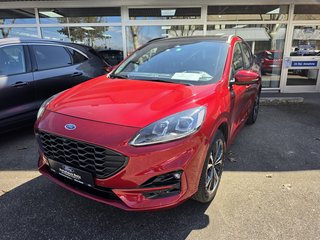 Ford Kuga Gebrauchtwagen Kaufen